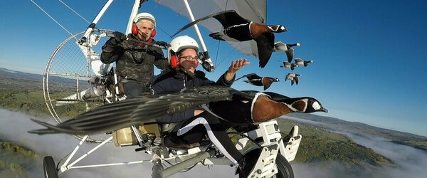 Voler avec les oiseaux